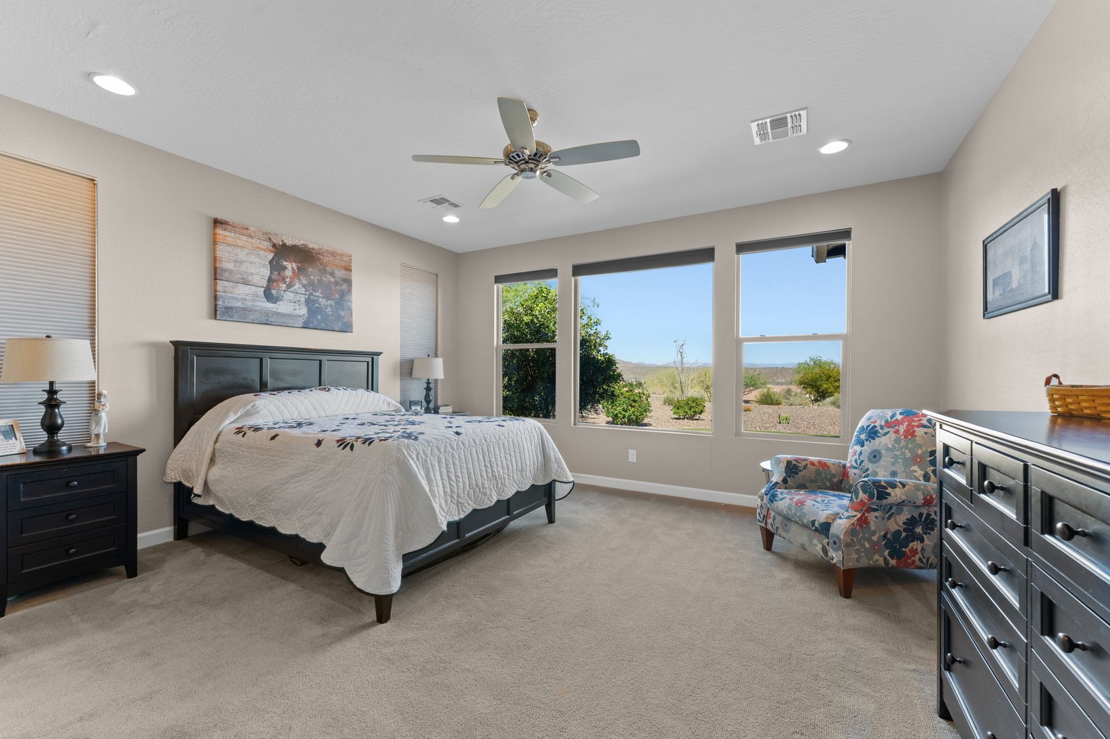 3641 STAMPEDE DRIVE