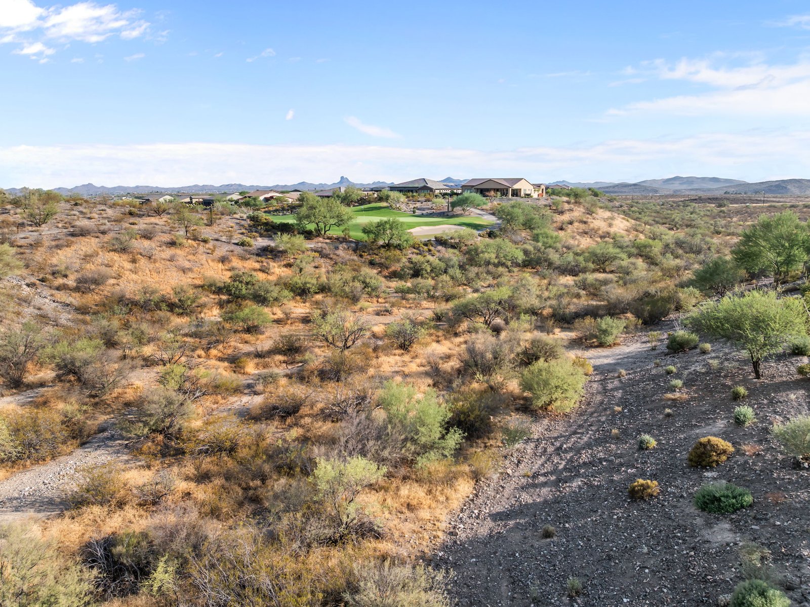 4295 SAWBUCK WAY