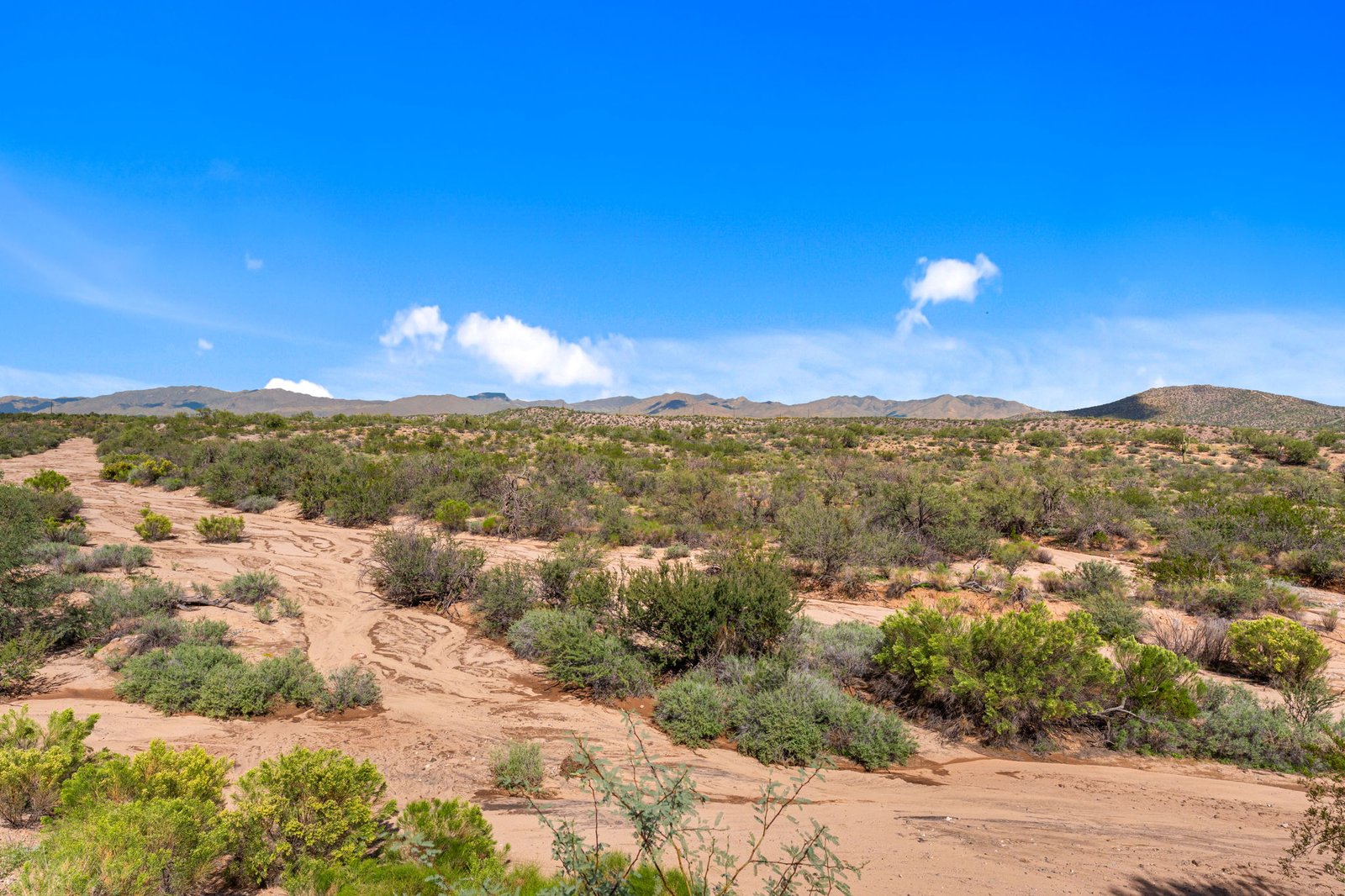 50-web-or-mls-DSC06534 3280 BUCKAROO COURT
